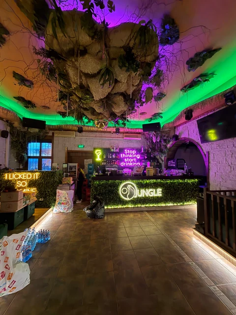 Barul Jungle Pub cu logo-ul oficial, decor de stâncă și lumini verzi și violet