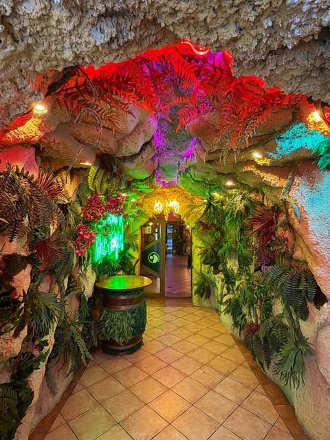 Pasajul din Jungle Pub, cu stâncă decorativă, plante și lumini roșii și verzi